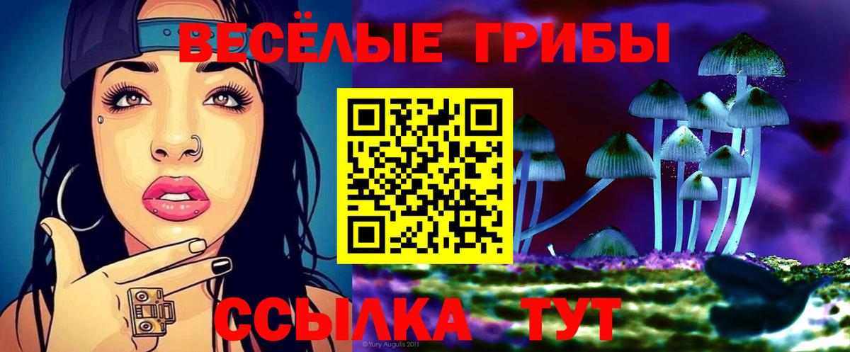 Псилоцибиновые грибы Psilocybine cubensis  Вход с VPN  Арсеньев 