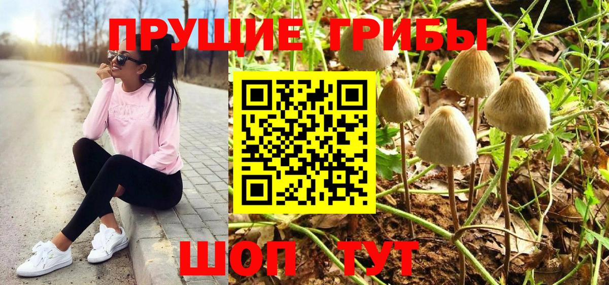 Галлюциногенные грибы прущие грибы Арсеньев